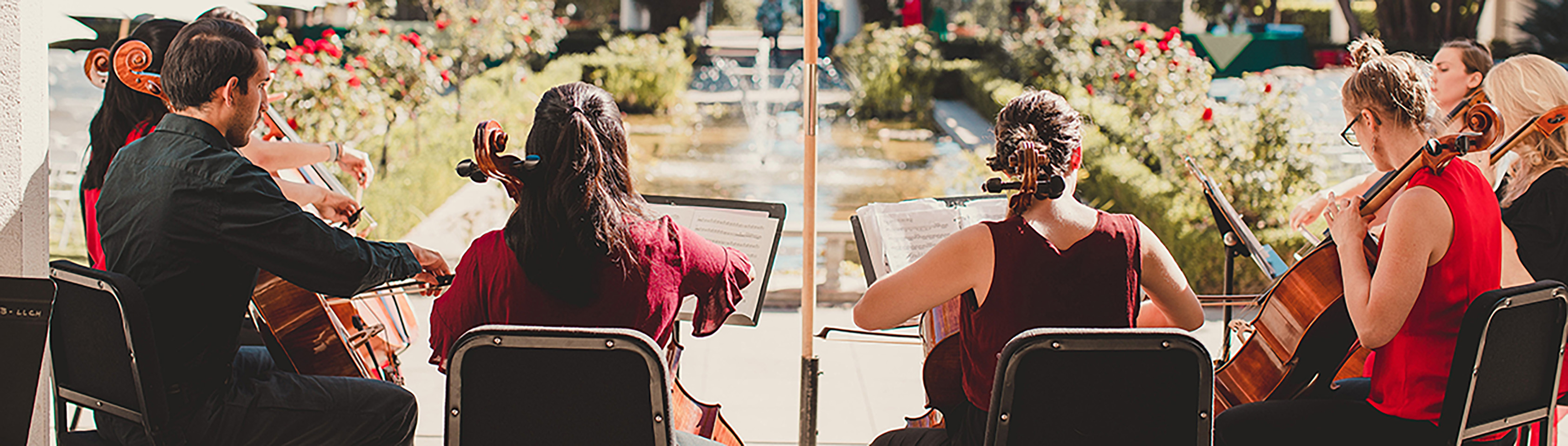 String Players in Garden